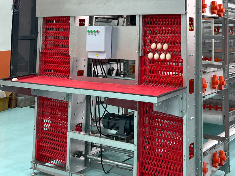 Egg Collection System